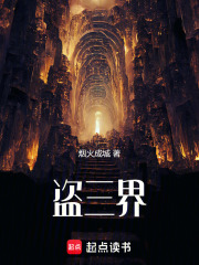 盗三界免费阅读_盗三界