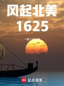 风起北美1625免费阅读_风起北美1625